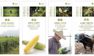 肇庆设计培训哪个好 平面设计线下培训班