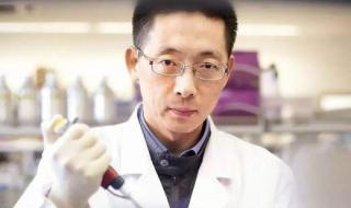 世界大学声誉排行榜