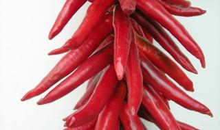 红辣椒美国版红辣椒
