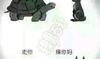 笑话大全笑到肚子疼