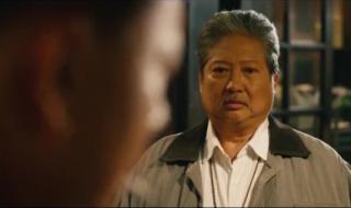 我的特工爷爷里洪金宝用的什么功夫 我的特工爷爷票房