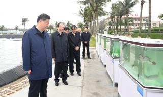 广东省湛江市东海岛 广东省湛江市东海岛