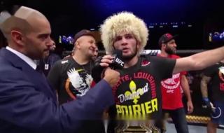 小鹰哈比布 小鹰哈比布