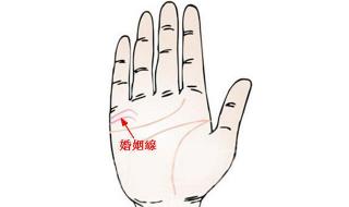 掌纹看健康 掌纹看健康