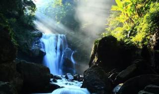 山鸣谷应身腾达是什么意思 山鸣谷应打一生肖