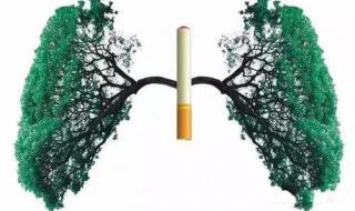 得了肺结核会有什么症状 肺结核早期症状及表现