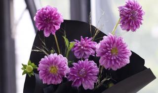 为什么中国禁止用ins 为什么中国禁止用ins