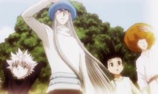 全职猎人蚂蚁片中蚁后生的一个人类怎么样了 全职猎人蚂蚁篇结局