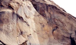 沙坡头景区 银川沙坡头旅游攻略