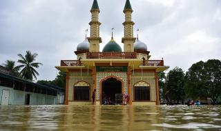 顿涅茨克和卢甘斯克